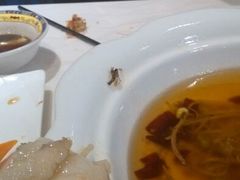 android_upload_pic-19号私房菜(云南路店)