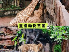 -长鹿旅游休博园