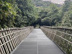 -福道