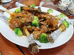 -伊帆食府·青海地方特色美食