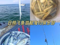 -日照海滨国家森林公园
