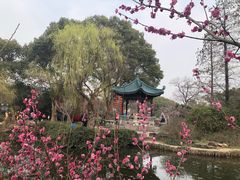 -无锡梅园公园