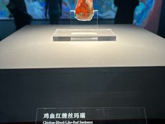 -北京大葆台遗址博物馆