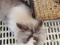 -小意思咖啡店(草桥店)