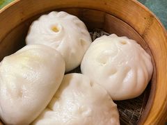 -长沙猫歌音乐餐厅(湖南女子大学店)