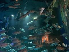 -成都浩海立方海洋公园