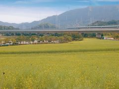 -光明小镇欢乐田园
