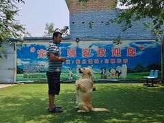 -宠物寄养训练学校