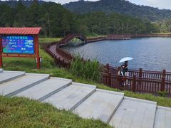 -海南热带雨林国家公园吊罗山景区