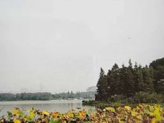 -宝界山林公园