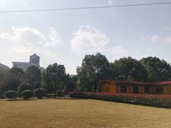 -浙江越秀外国语学院