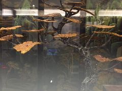 -万达瑞华酒店·品珍中餐厅