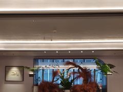 -南海渔村(珠江新城店)