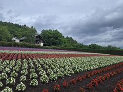 -富田农场