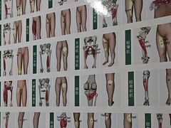 -通透堂中医·精准推拿(旗舰店)