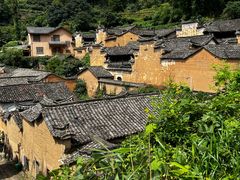 -杨家堂村