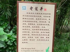 -十八棵（老龙井）御茶园(老龙井店)