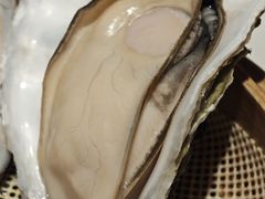 -杨氏青龙虾·羊蝎子(金盛路总店)