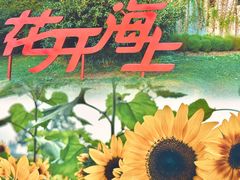 -花开海上生态园