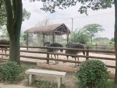 -苏州太湖西山岛开心农场