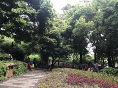 -成都市活水公园
