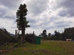 -大姆山草场