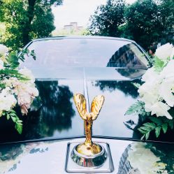 -格乐利雅婚礼艺术中心(南外滩店)