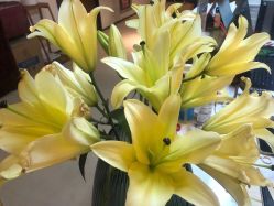 -FineYoga梵音瑜伽·普拉提