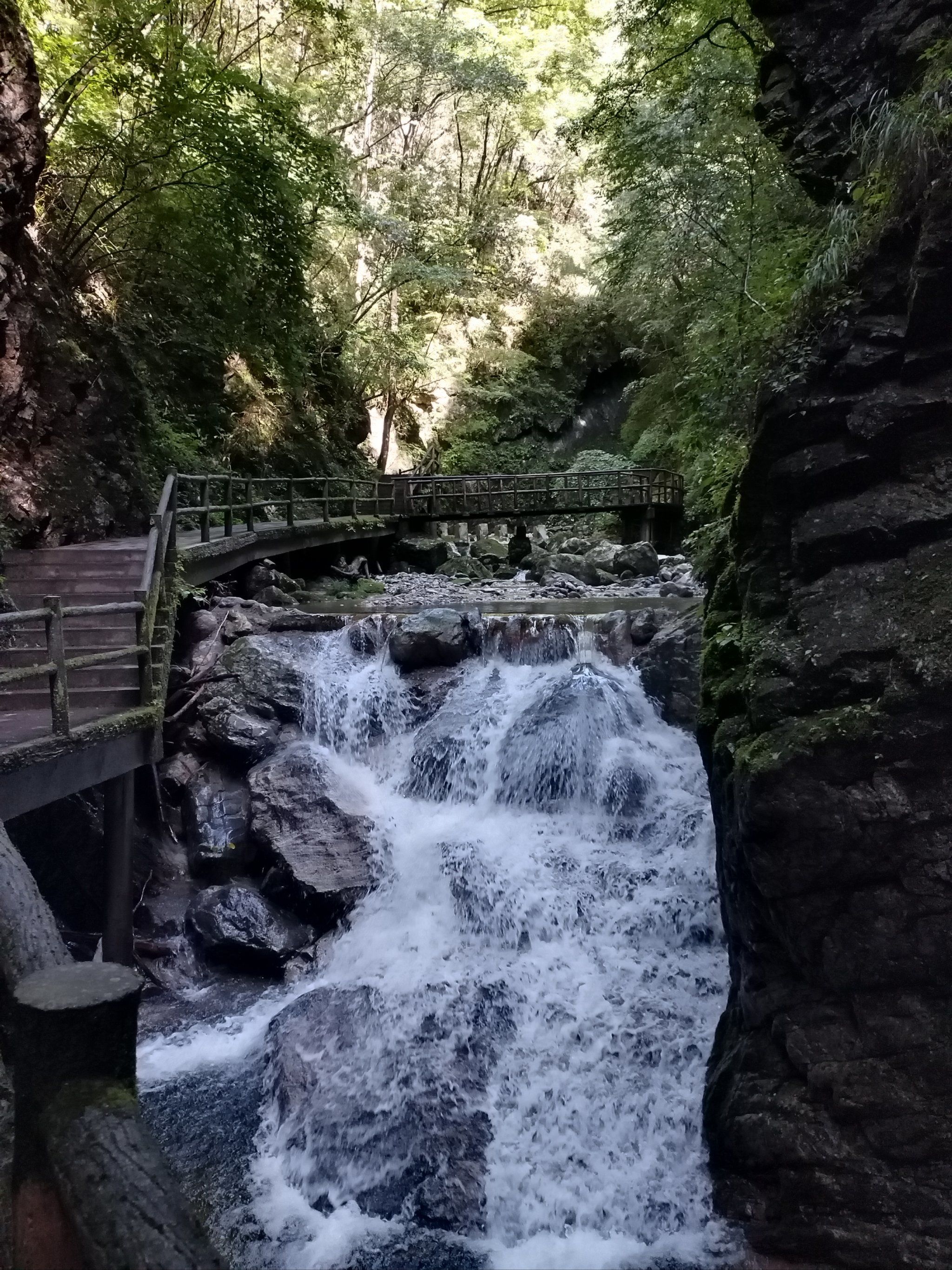 从柞水到达牛背梁景区,这里山高沟深林密,一进景区大门我们选择徒步