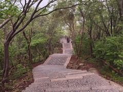 -紫金山天文台