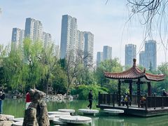 -西苑公园