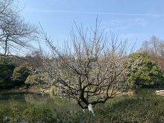 -杭州植物园