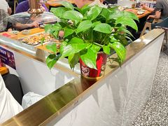 -蚝英雄·鲜蚝自助专门店