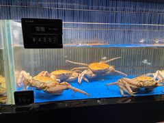 -徐记海鲜(南油永新汇店)