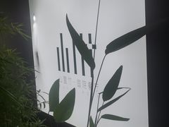 -山壹竹庭院餐厅