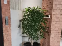 -浅深Cheersum(曹杨店)