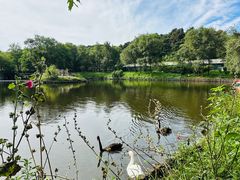 -沈阳森林动物园