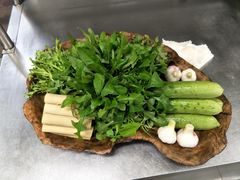 -食家鸽园