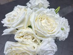 -盡膳口福跷脚牛肉火锅(晶耀前滩店)