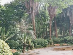 -黄埔荔枝公园