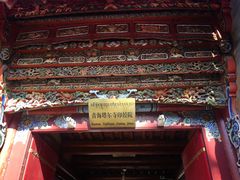 -塔尔寺菩提树