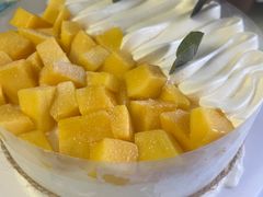 -BRIGNA百丽格娜·纯动物奶油生日蛋糕(浦东店)