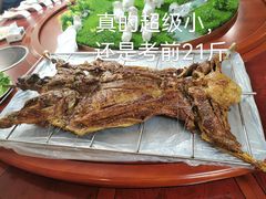 宁夏盐池滩羊小羊-大家烤羊庄·聚餐团建·谢师宴·生日派对(南山店)
