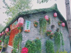 -合肥滨湖国家森林公园