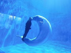 -多彩贵州城极地海洋世界