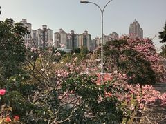 -南宁南湖公园