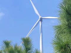 -合肥滨湖国家森林公园