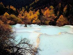 -黄龙山原始森林景区