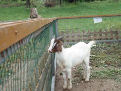 -潭柘厚院&山顶烤肉(潭柘寺店)