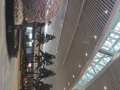 -青岛胶东国际机场